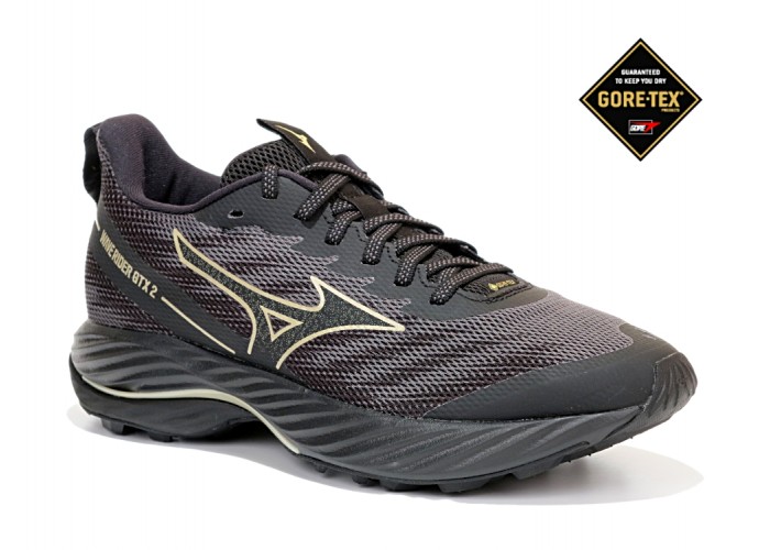 Кроссовки Mizuno WAVE RIDER GTX 2 W, арт.J1GD247921		